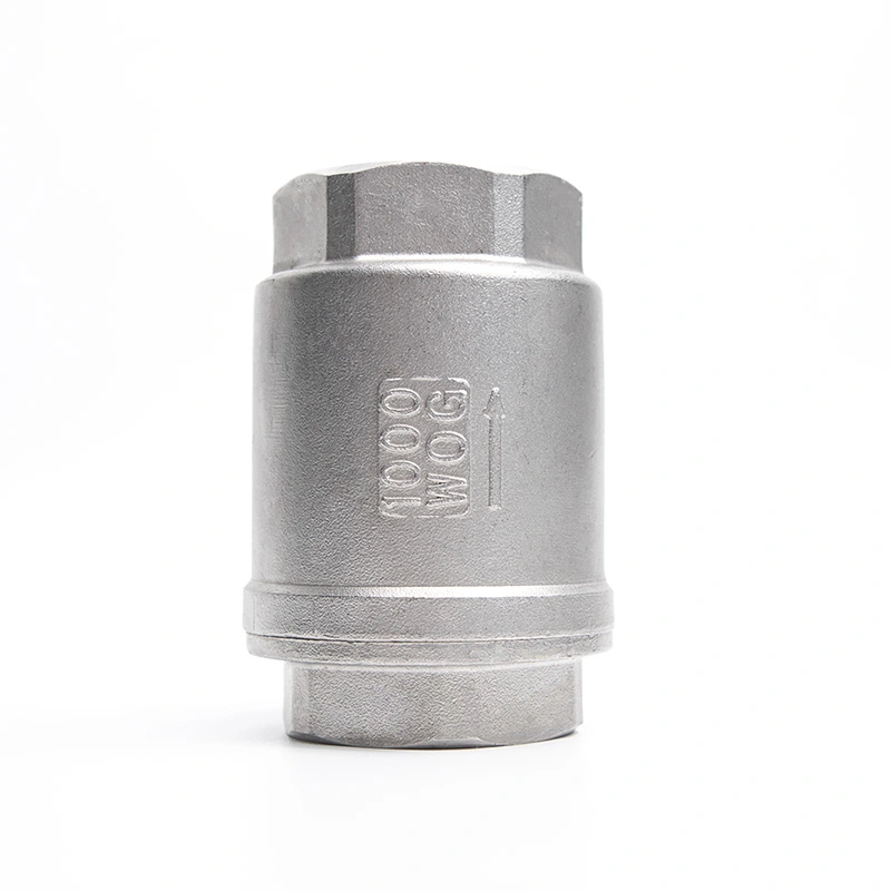 Clapet anti-retour vertical à ressort en acier inoxydable